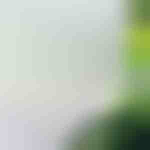 Okleina Do Szyb Matowa Folia Okienna | WINDOWFILM