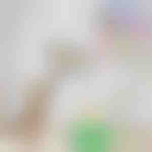 Elektryczny Ptak Zabawka Aktywizująca dla Kota | BIRDIETOY