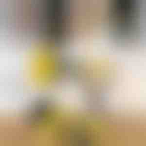 Zestaw szczotek do czyszczenia wiertarką (3 sztuki) | DRILLBRUSH