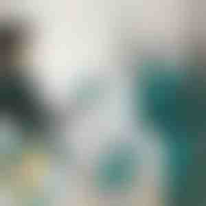 Mini Żelazko Parowe | FERROLITE