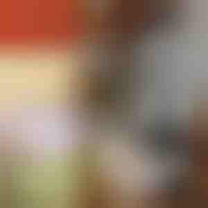 Ręczna krajalnica do warzyw | CHOPSTER