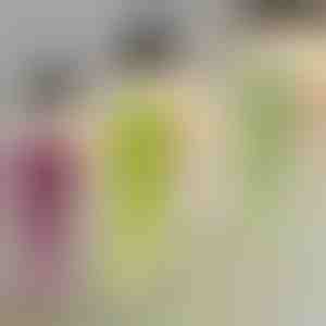 Dekoracyjna roślina wisząca | IVYORA