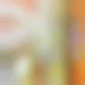 Wielofunkcyjny rozdrabniacz | SLICEWISE