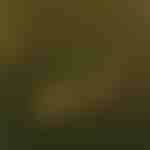 Sznur świetlny z żarówkami LED | YARDBULBS