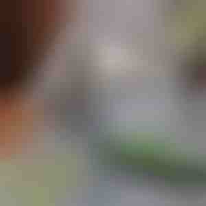 Mop do usuwania sierści zwierząt | PAWMOP