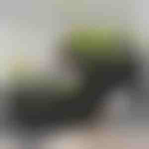 Skrzynka ogrodowa do uprawy | BOTANITKO