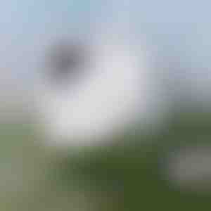 Bezproblemowe czyszczenie okien | WINDOWSWIPE