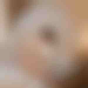 Namiot przeciwkomarowy zapewniający ochronę | BUGISTOP