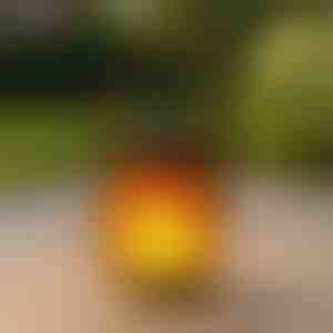 Lampiony solarne z efektem tańczącego płomienia | FLAMLUX