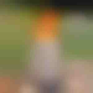 Przenośne bezdymne palenisko stołowe | FIRENOVA